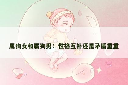 属狗女和属狗男：性格互补还是矛盾重重
