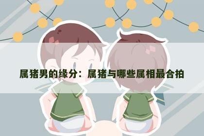 属猪男的缘分：属猪与哪些属相最合拍