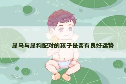 属马与属狗配对的孩子是否有良好运势