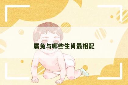 属兔与哪些生肖最相配