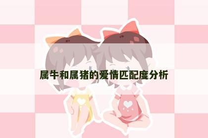属牛和属猪的爱情匹配度分析