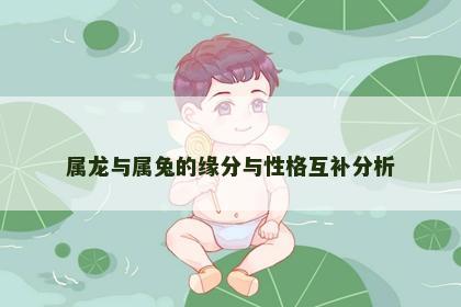 属龙与属兔的缘分与性格互补分析