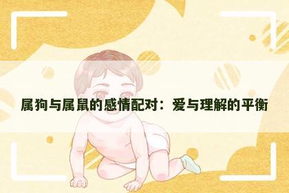 属狗与属鼠的感情配对：爱与理解的平衡