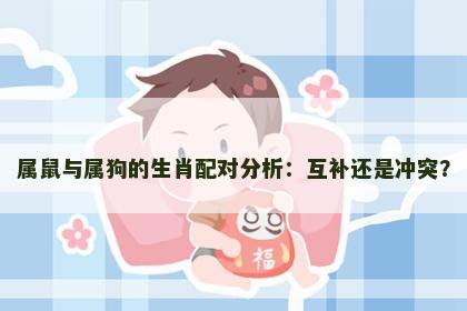 属鼠与属狗的生肖配对分析：互补还是冲突？