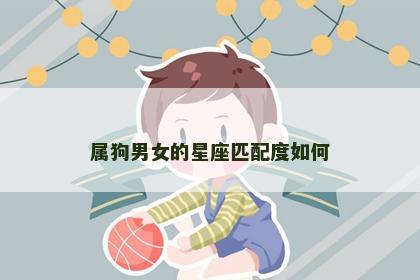 属狗男女的星座匹配度如何