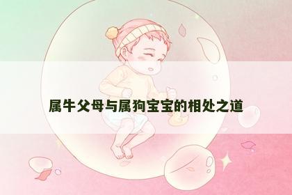 属牛父母与属狗宝宝的相处之道
