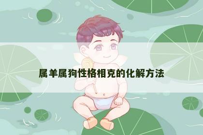 属羊属狗性格相克的化解方法