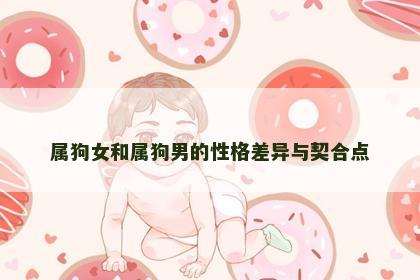 属狗女和属狗男的性格差异与契合点