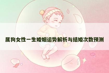 属狗女性一生婚姻运势解析与结婚次数预测
