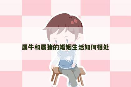 属牛和属猪的婚姻生活如何相处