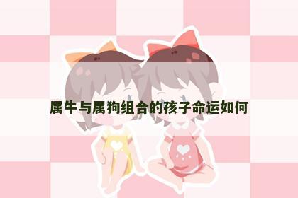 属牛与属狗组合的孩子命运如何