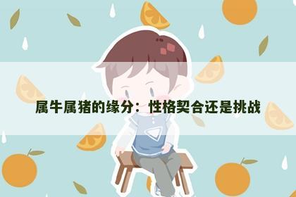属牛属猪的缘分：性格契合还是挑战