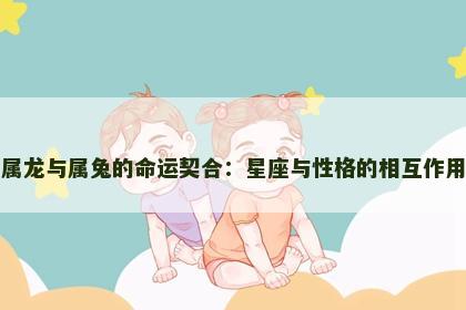 属龙与属兔的命运契合：星座与性格的相互作用