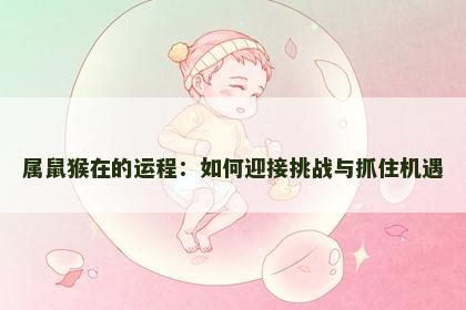 属鼠猴在的运程：如何迎接挑战与抓住机遇