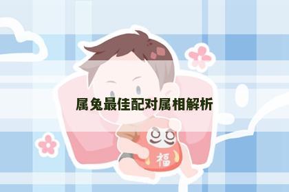 属兔最佳配对属相解析