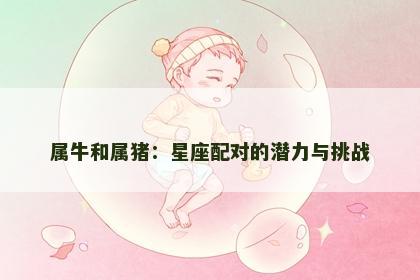 属牛和属猪：星座配对的潜力与挑战
