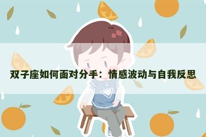 双子座如何面对分手：情感波动与自我反思